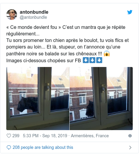 Black Panther Found Prowling Roofs In French Town Bbc News
