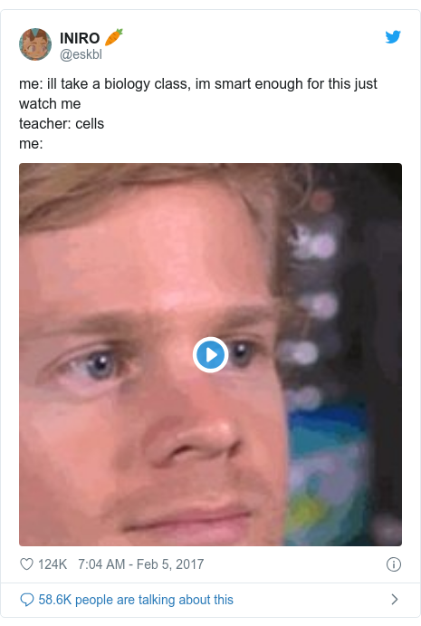The Decade In Memes Bbc News