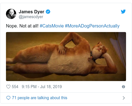 Cats Claws Out For Movie Trailer Bbc News
