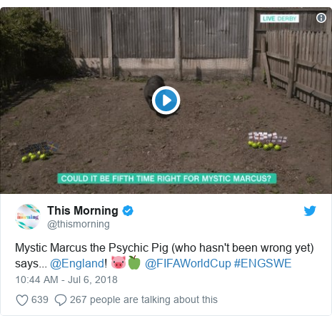 World Cup 2018 Psychic Animals Predict England V Sweden Result