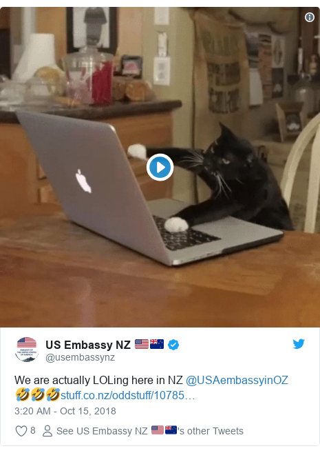 Us Embassy In Australia Apologises For Cookie Monster Cat Email
