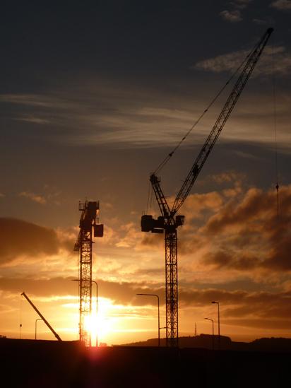 Cranes