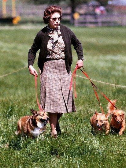 The Queen with her corgis in 1980