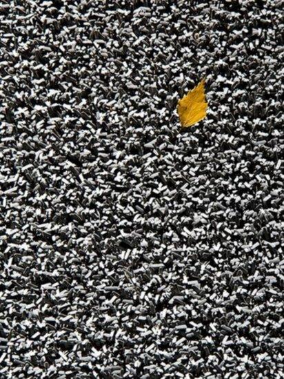 Leaf on a mat