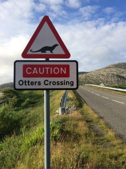 Otters Crossing sign on Scalpay