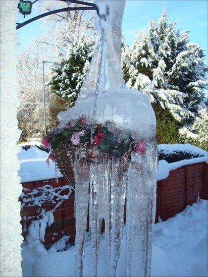 hanging basket covered in ice