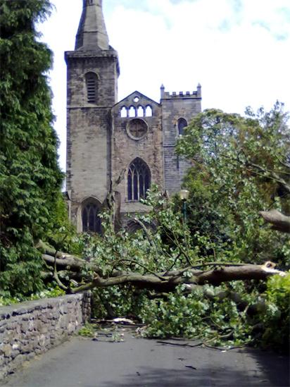 Tree blocking a footpath near Dunfermline Abbey
