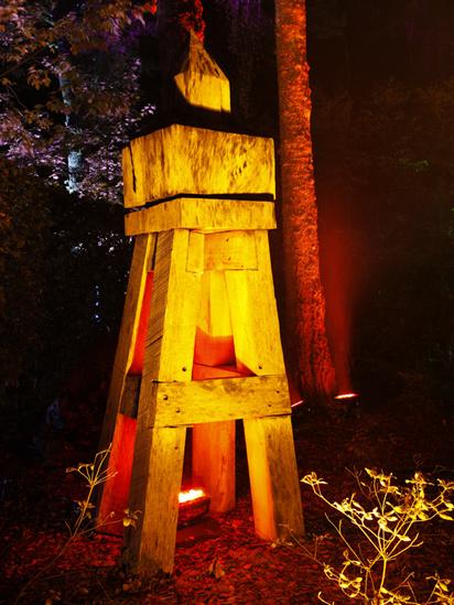 Tress lit up in the Enchanted Forest