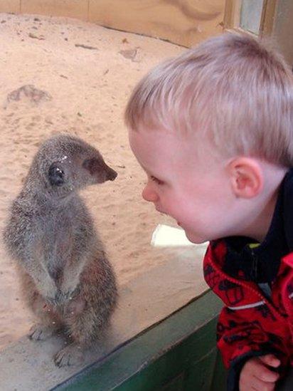 Jamie and a meerkat