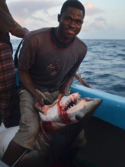 A crewman aboard the Kenyan fishing vessel holding a bleeding shark