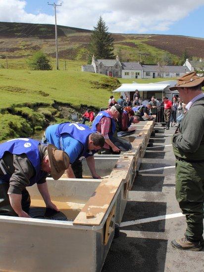 Gold panning championships