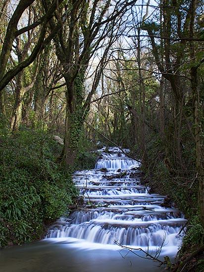 Nash Brook in Blaen-Y-Cwm nature reserve, Vale of Glamorgan