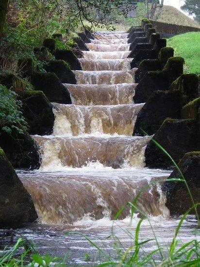 Fish ladder