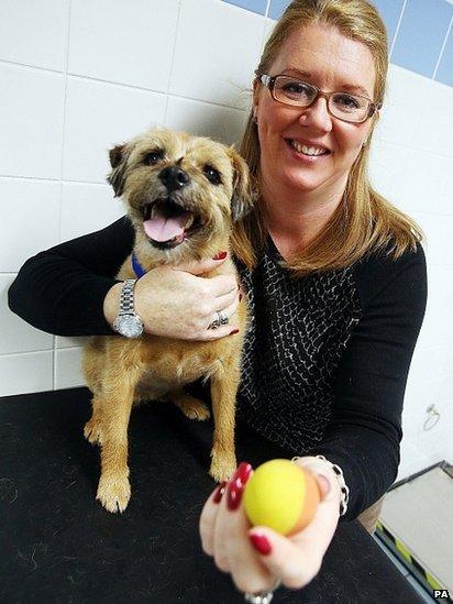 dog ate bouncy ball