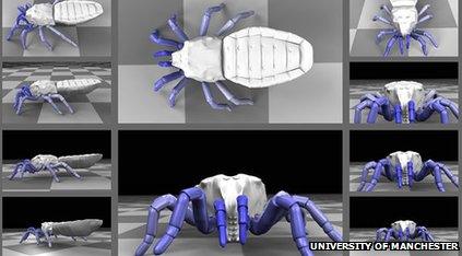 3d model of a microscopic insect-like creature