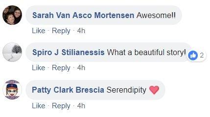 Screen shot of three Facebook posts reading reading "Awesome!!", "What a beautiful story!" and "Serendipity"