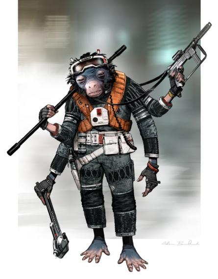 _101751098_artofsolo_104_bottomcenter.jp