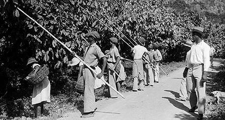 Cocao harvesters in Grenada circa 1934