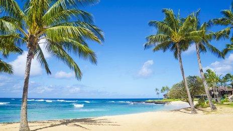 Hawaii beach