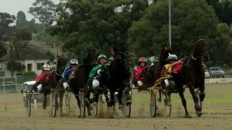 Harness racing at Bankstown racecourse