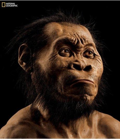 New human-like species discovered in S Africa - BBC News