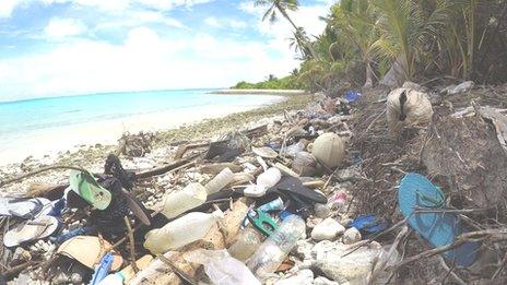 beach debris