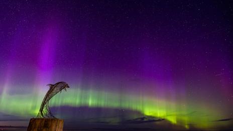 Silhouette of a dolphin statue with green and purple aurora in night sky