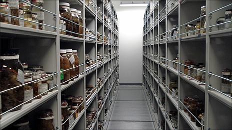 Storage shelves at the Smithsonian