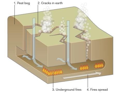 How peat bog fires spread