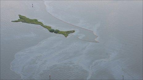Visible residue of oil from the Deepwater Horizon disaster visible in Barataria Bay (Image AP)