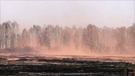 A burnt field near a village of Kadanok some 150 km outside Moscow