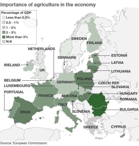 Agriculture in EU member states' economies - graphic