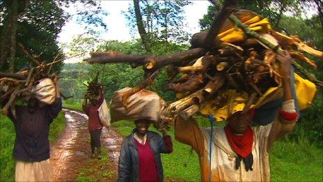People carrying wood from the Mau Forest