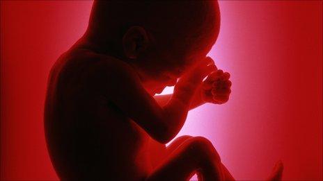 Foetus in the womb