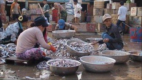 Fish market in Phnom Penh
