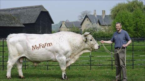 Richard Morris with a White Park bull at Wimpole Home Farm, Cambridgeshire