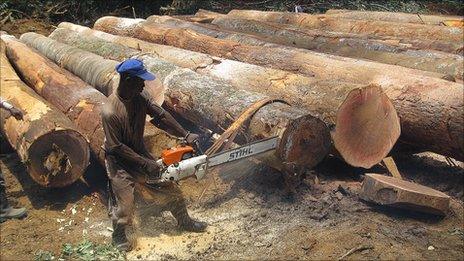 Liberian logger