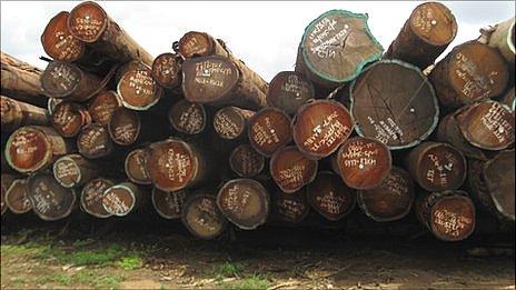 Liberian timber