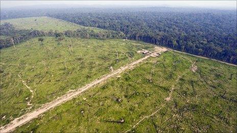 Aerial picture on 29 November 29, 2009 shows a sector of the Amazon forest, in the state of Para, in northern Brazil, illegally deforested