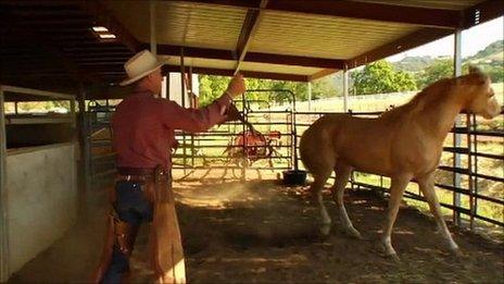 A scene from the documentary about Buck Brannaman