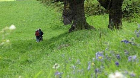 Walkers on the Offa's Dyke trail Photo: Rob Dingle