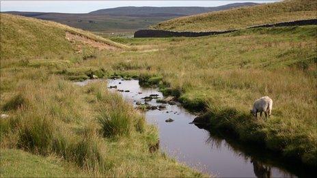 Yorkshire Dales