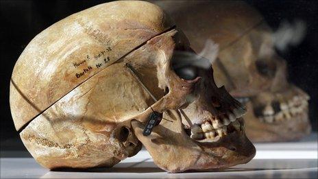 One of the African skulls on display in Berlin, 29 September