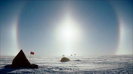 'Snow dogs' in Antarctica