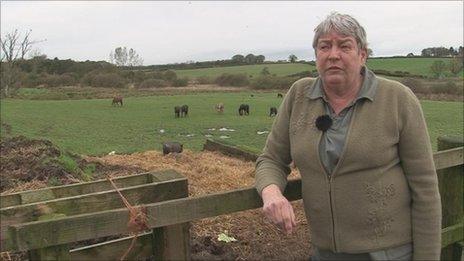 Juanita Wilson honoured for Mossburn animal saving work - BBC News