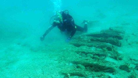 A diver on the wreck site in Panama