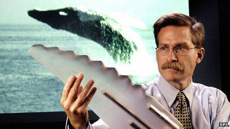 Researcher with model whale flipper