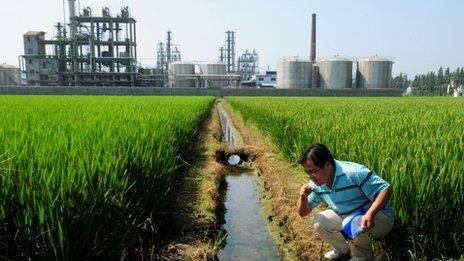 Chinese environmental activist Wu Lihong checks the water quality in an irrigation channel outside a chemical factory beside a rice paddy.