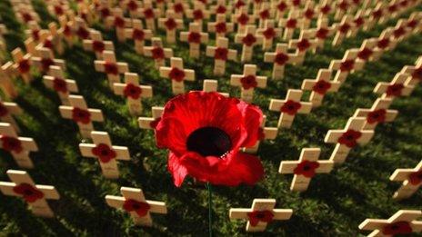 Volunteers planted 11,000 remembrance crosses in Edinburgh