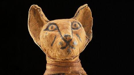 A cat mummy, courtesy of the Smithsonian Institution